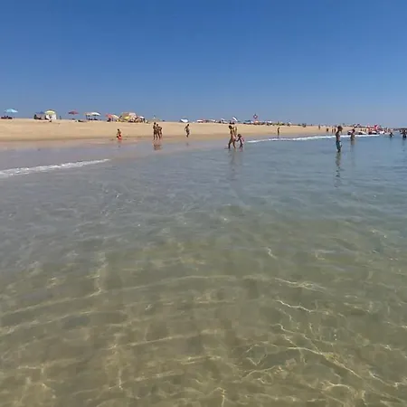 In The Center Of With Swimming Pool And Garage Tavira